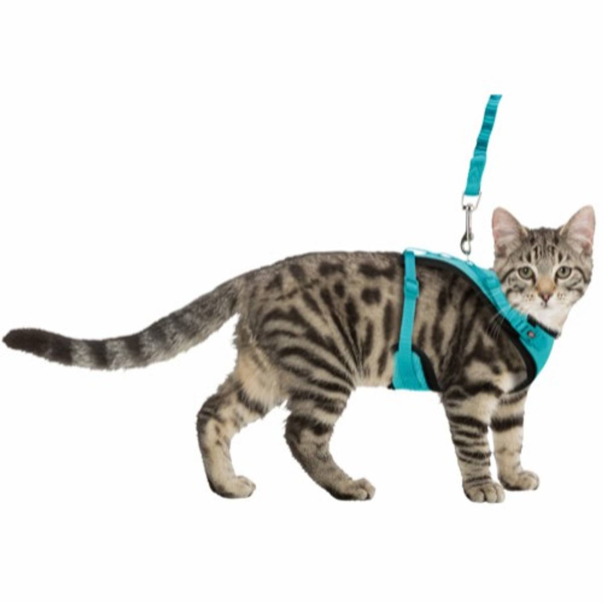 MESH Y-SELE 39-60CM