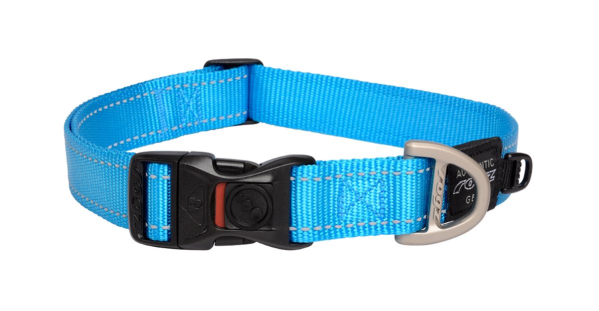 Rogz Utility-halsbånd XL turkis 25 mm 43–70 cm