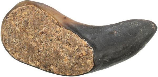 Hovedbilde Trixie Bøffelhorn med fyll