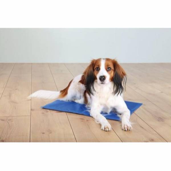 Hovedbilde Trixie Kjølematte 65x50cm