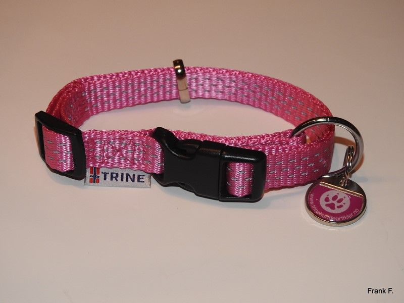 Trygg Halsbånd Rosa L