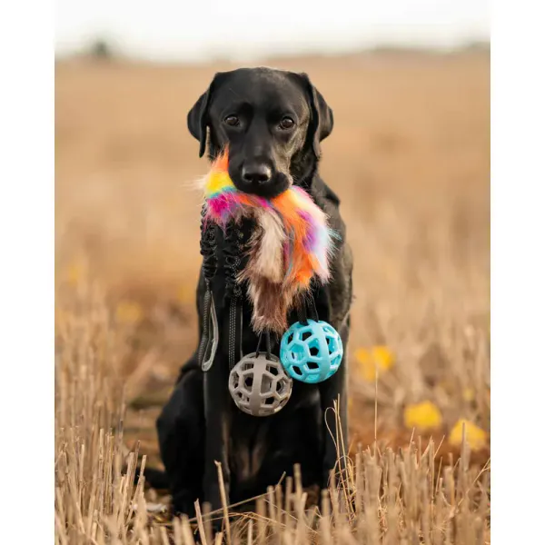 Hovedbilde OZAMI Play-n-Tug Hundeleke Fuskepels + Ball ...