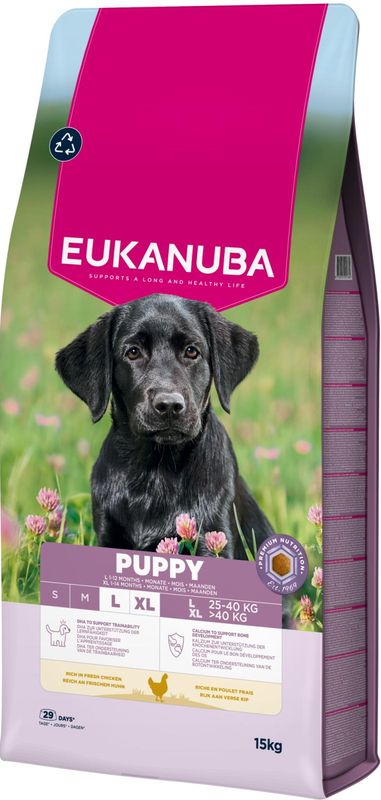 EUKANUBA Puppy Large Breed m.Kylling ( 15kg )