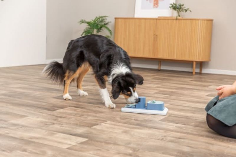 Trixie Poker Box Vario 1 (32x17 cm) | Hjernetrim Hund