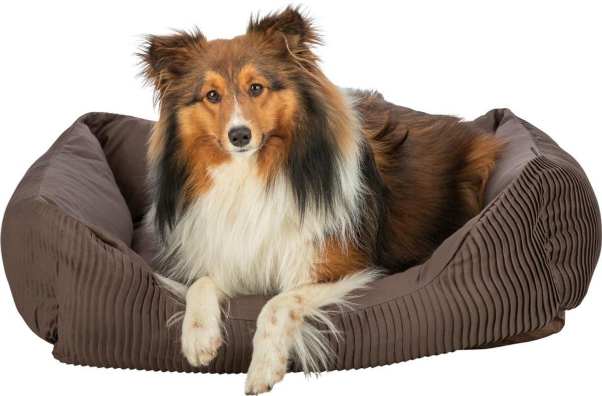 TRIXIE Marley Hundeseng, Firkantet ( 100 x 70 cm )