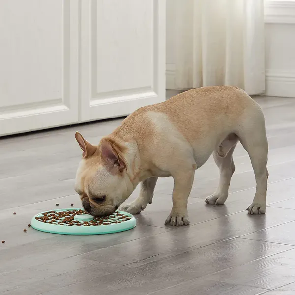Hovedbilde Outward Hound Slo Tray Mint Large | Saktespiser Flatnese