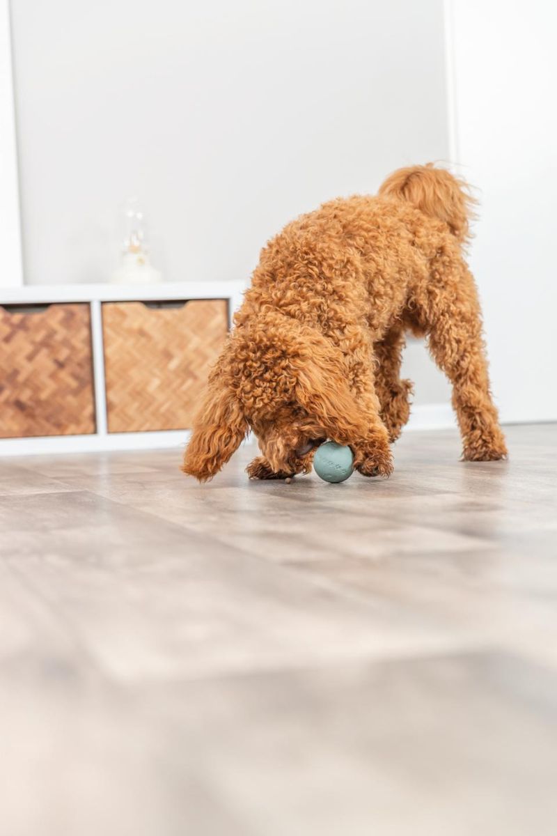 TRIXIE Snackball i Naturgummi – Lydløs Aktivering (Ø 6 cm)