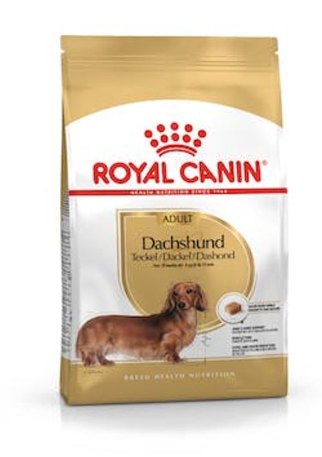 Hovedbilde Dachshund Adult 7,5kg