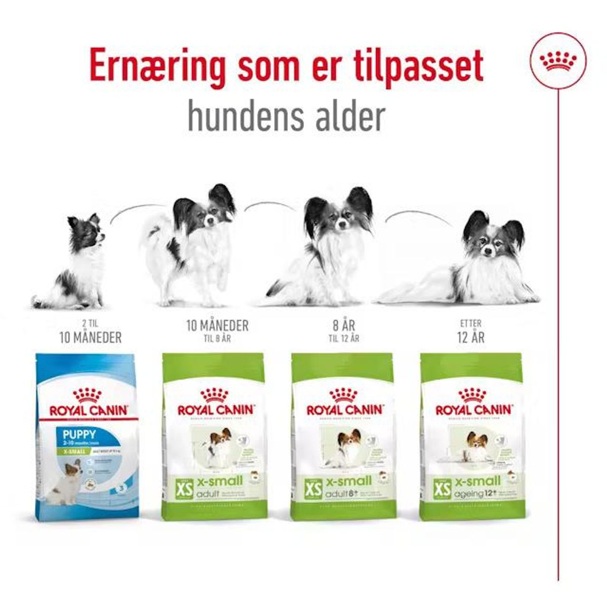 ROYAL CANIN XS Small Adult - 3kg