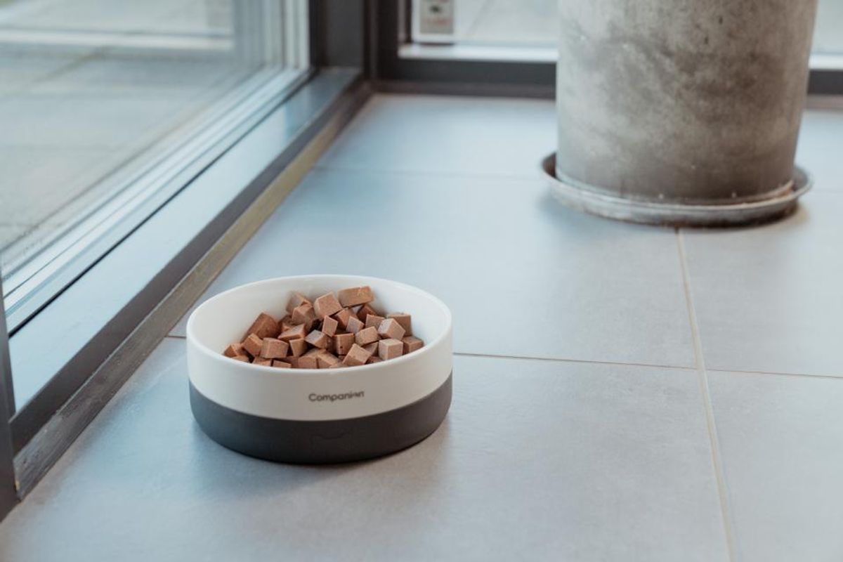 Companion+ Feast Hjort 350g | Kornfri Fôrpølse | Vilt