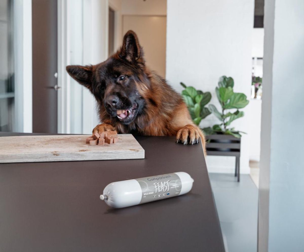 Companion+ FEAST Lam 350g | Saftig Hundefôrpølse
