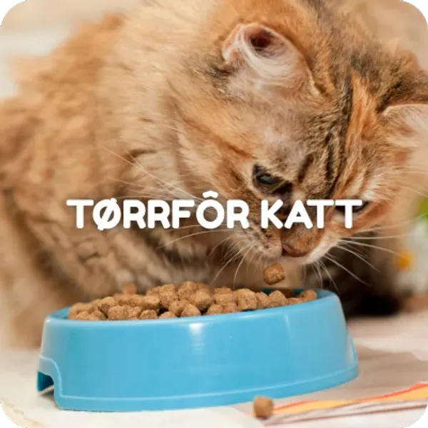 Tørrfor til katt. Stort utvalg kattemat.