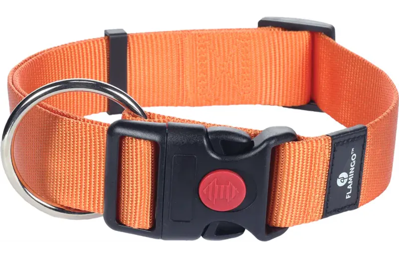 Halsbånd Nylon Oransje XL ( 4 x 55–75 cm )