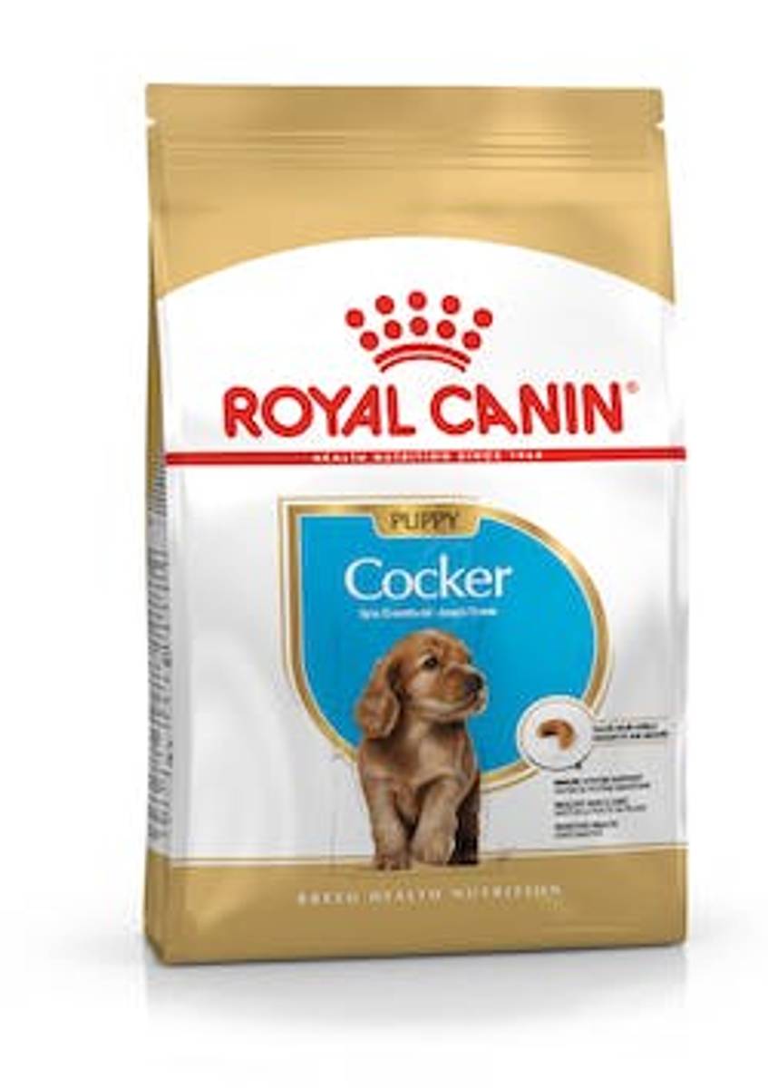 Cocker Puppy 3kg