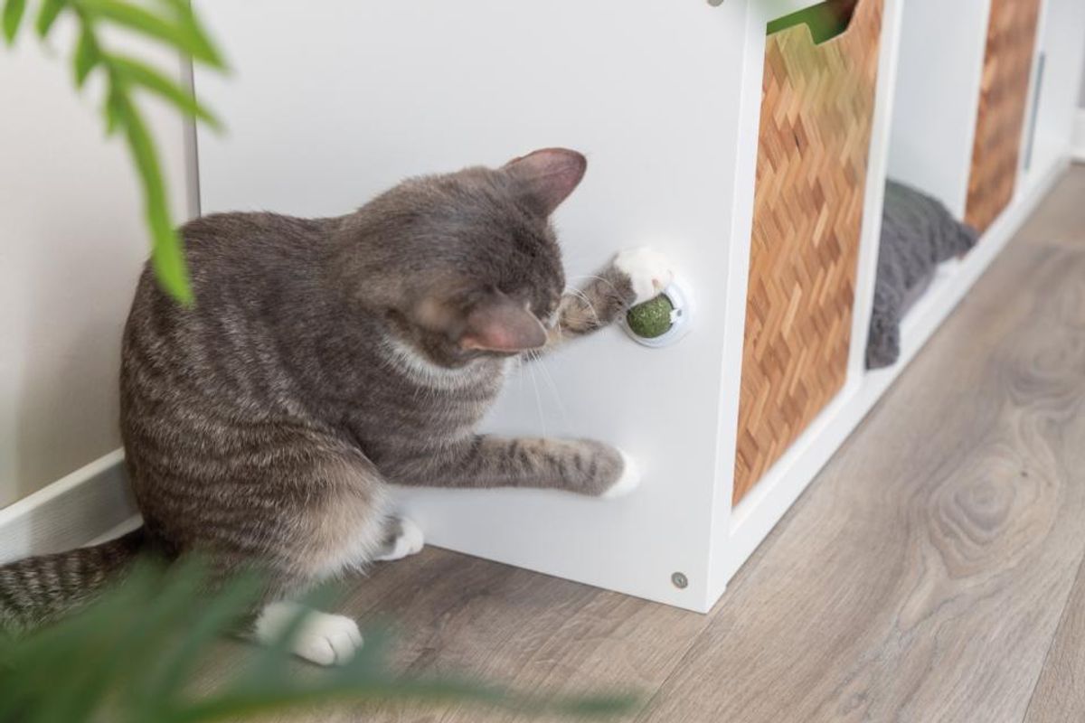 TRIXIE Kattenip-Ball med Feste
