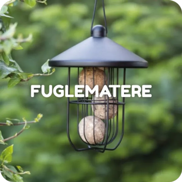 Fuglematere. Stort utvalg til hyggelige priser.